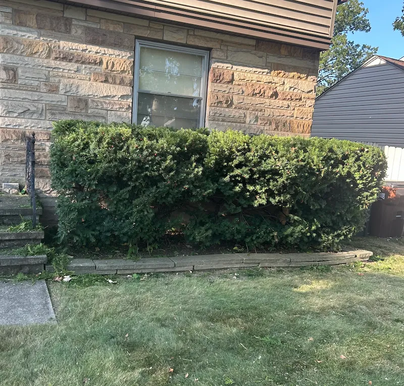 Perfectly trimmed hedges