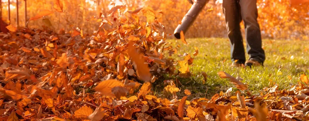 Seasonal Cleanups service in Cleveland suburbs