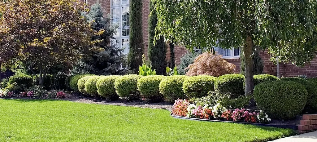 Hedge Trimming service in Cleveland suburbs